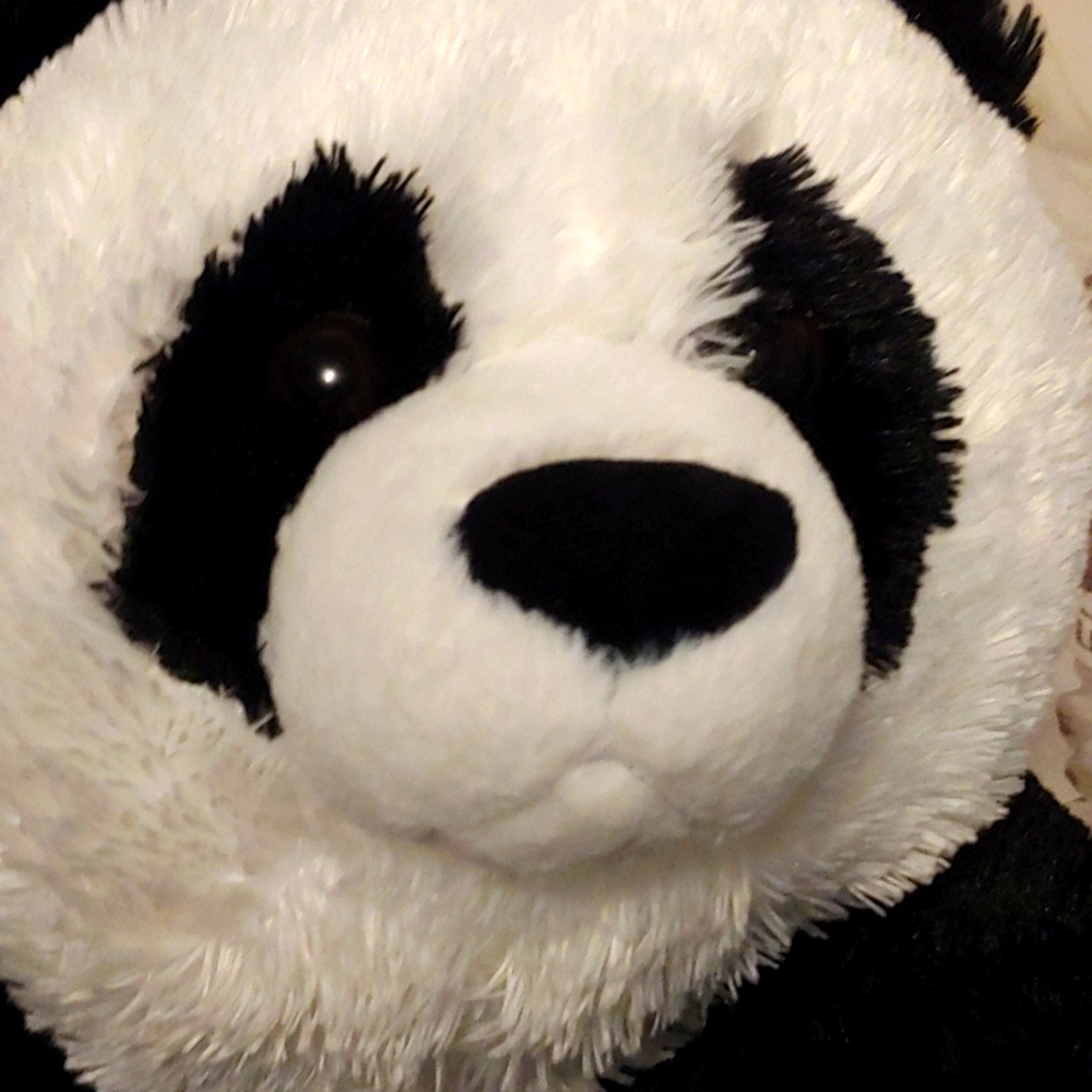 Xl panda